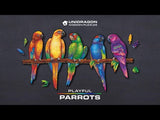 Playful Parrots 5 in 1
